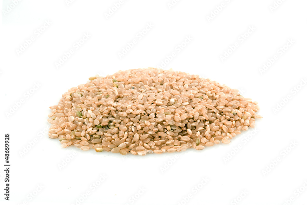 Fototapeta premium brown rice