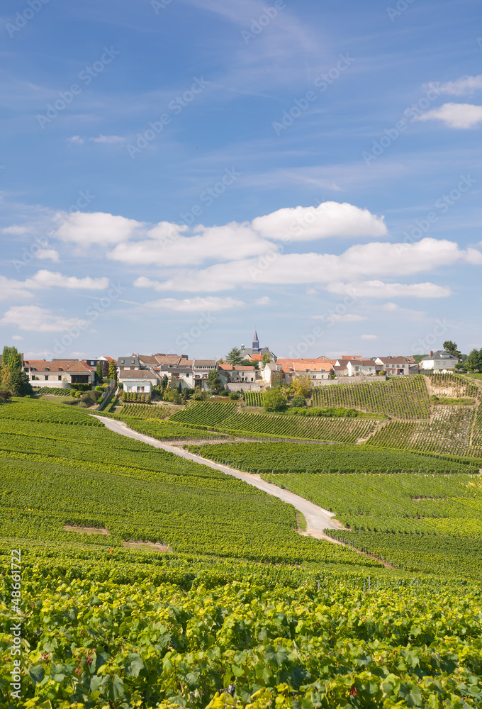 der bekannte Weinort Cramant nahe Epernay in der Champagne