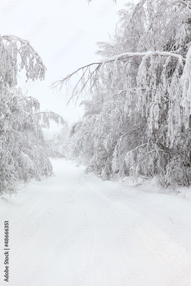 Obraz premium Tranquil empty country winter road with brunches with snow