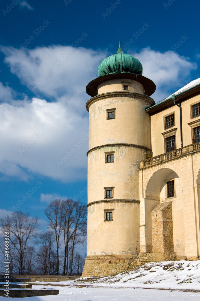 Castle Nowy Wisnicz in Poland