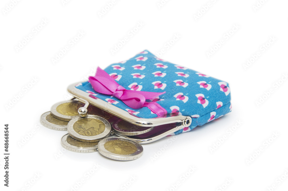 Beautiful purse with coins isolated on white background Beautiful purse with coins isolated on white background