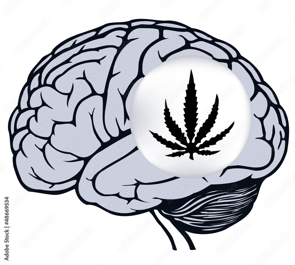 Fototapeta premium brain with sign of marijuana