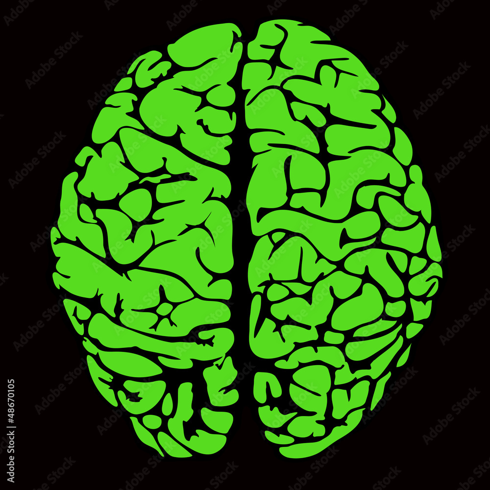 human brain human brain