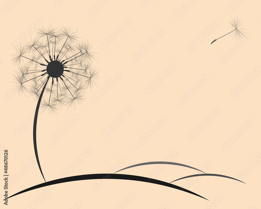 background dandelion fluff Stock-Vektorgrafik | Adobe Stock