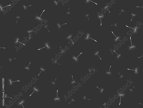 background dandelion fluff