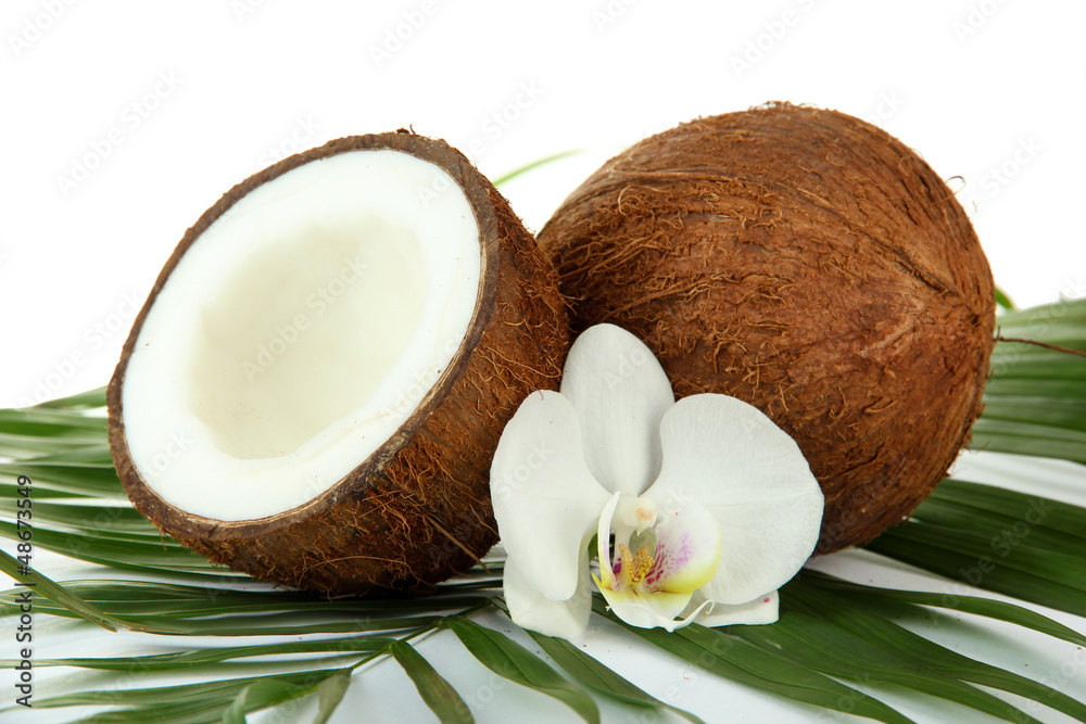 Coconuts with leaves and flower, isolated on white Coconuts with leaves and flower, isolated on white