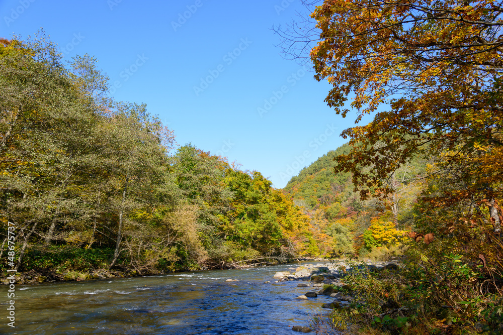 Oirase Gorge in Aomori Pref.