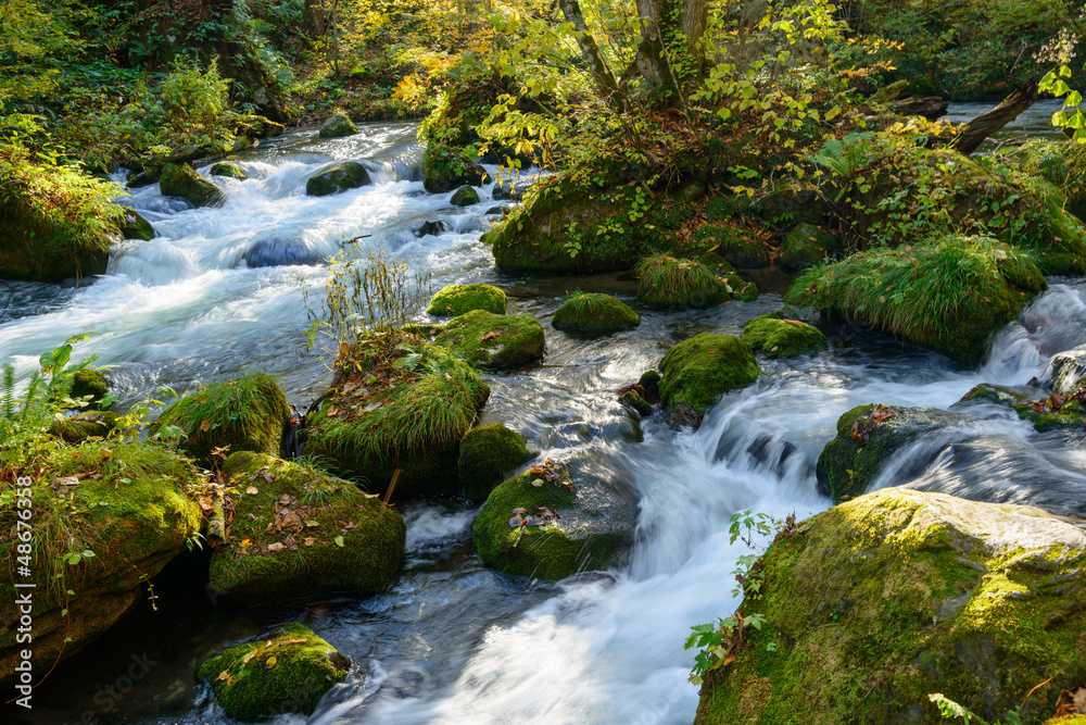 Obraz premium Oirase Gorge in Aomori Pref.