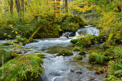 Oirase Gorge in Aomori Pref.