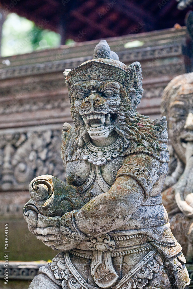 monkey in Ubud monkey forest, Bali, Indonesia monkey in Ubud monkey forest, Bali, Indonesia
