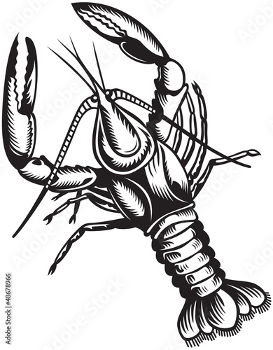 Stylized illustration of crayfish. Black and white style