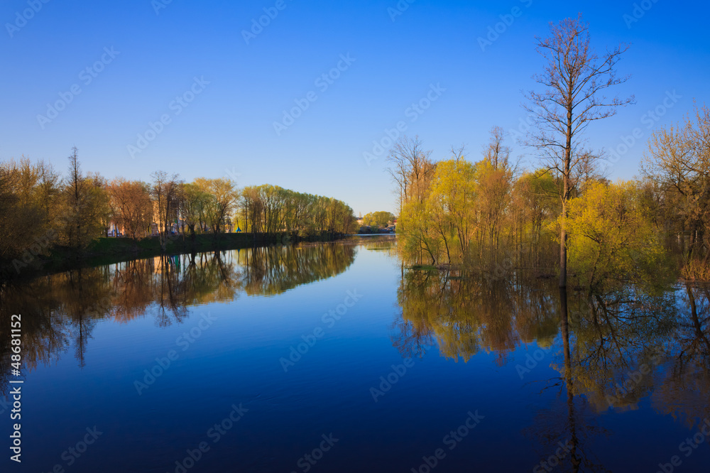 Reflection of trees in the river at dawn