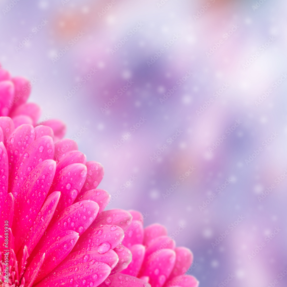 Abstract floral background with bokeh Abstract floral background with bokeh
