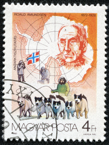 Roald Amundsen (1872-1928) discovering South Pole, dog team photo