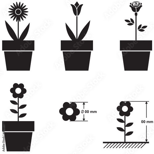 Flowers in pots and flower size scheme