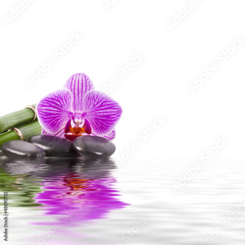 orquidea en piedra con bambú y agua