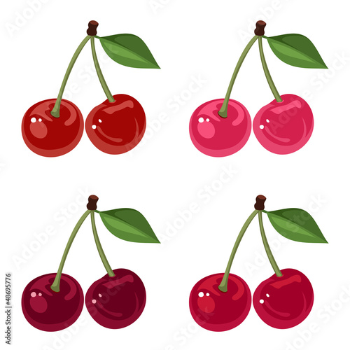 Set of four bunches of cherries. Vector illustration.