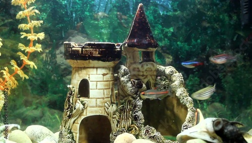 Underwater Castle and catch fish