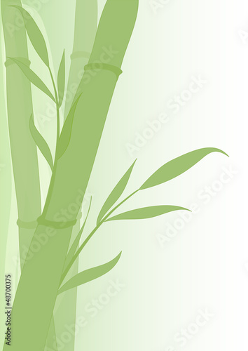 Fototapeta Naklejka Na Ścianę i Meble -  sfondo bamboo