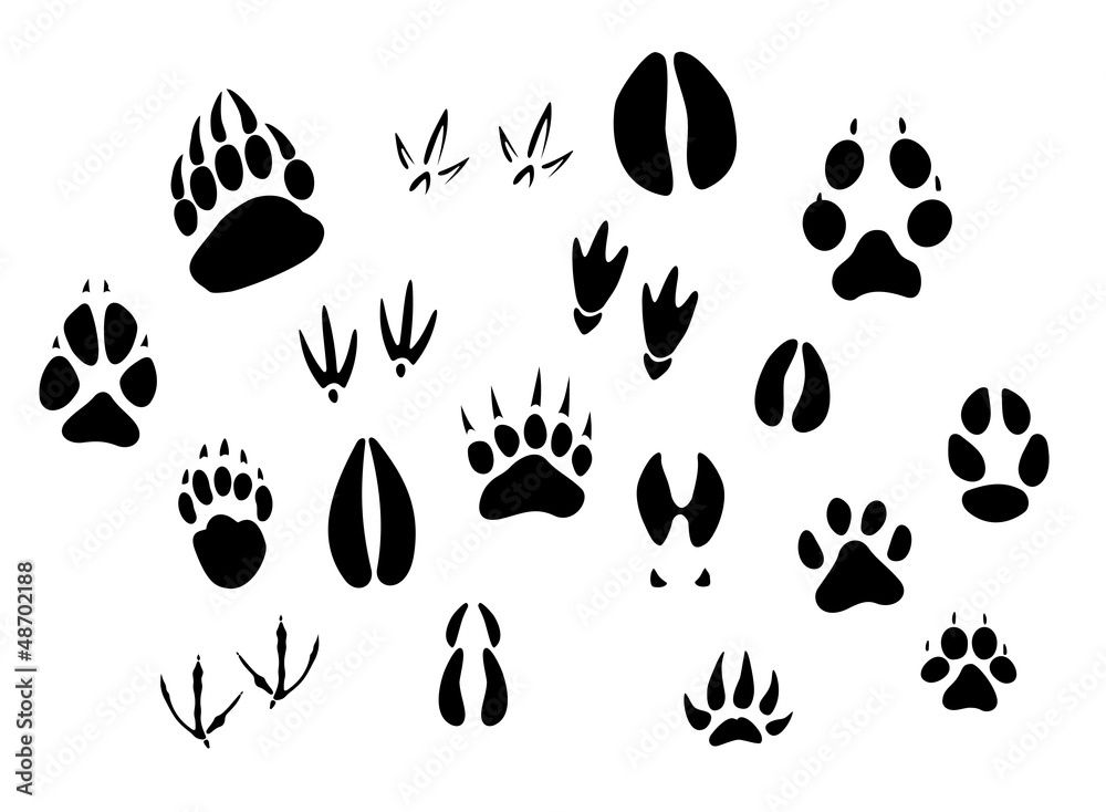 Fototapeta premium Animal footprints silhouettes