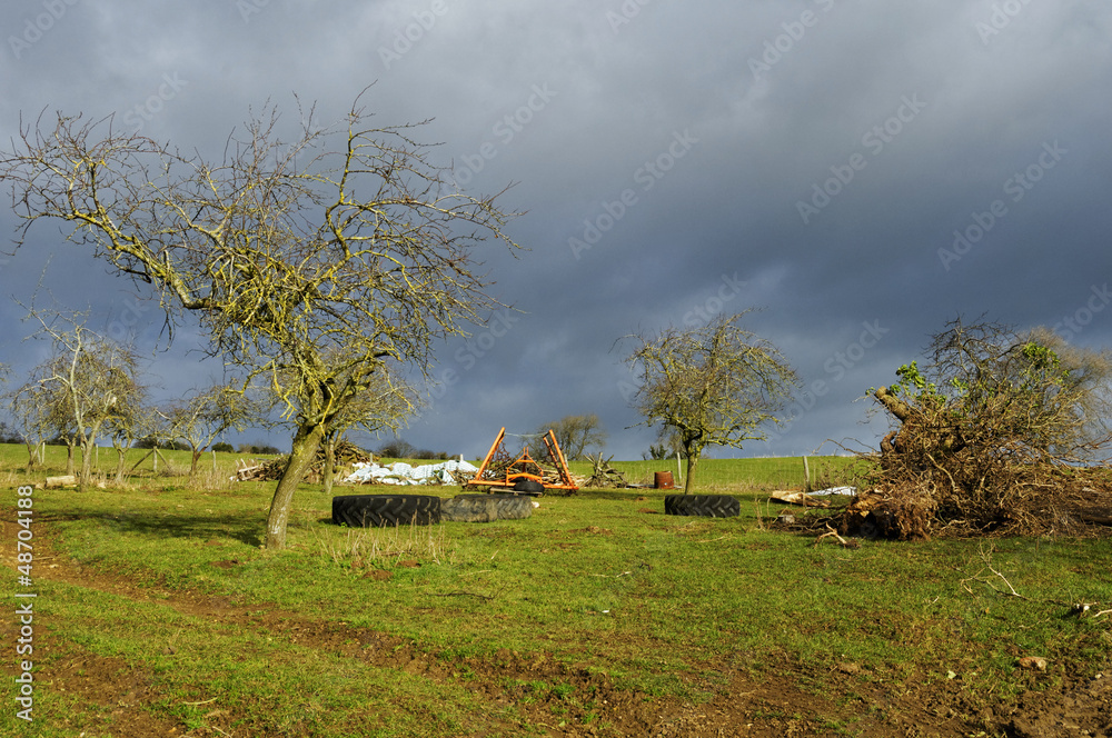 Obraz premium Rural landscape in winter