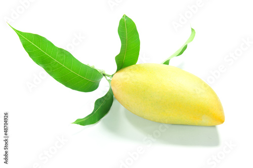 Sweet mango and leaf on isolate background.