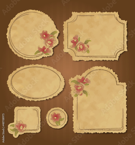 Set of retro floral vintage frames and labels