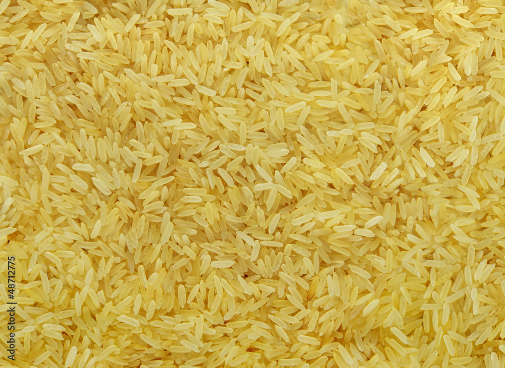 Rice grain Rice grain