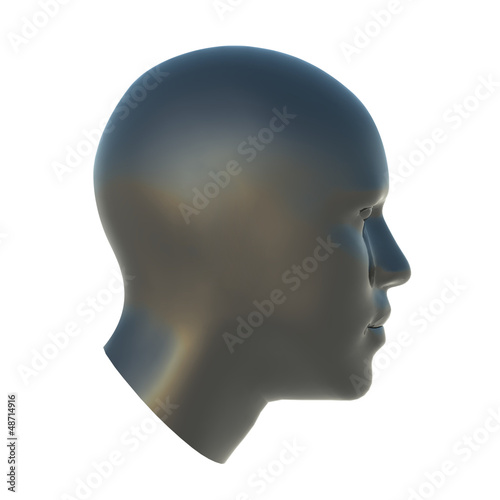 3D Head