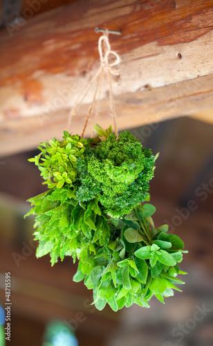 hanging fresh herbs