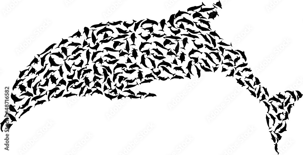 Obraz premium black jumping complex islated dolphin