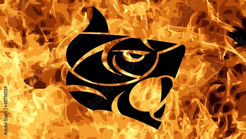 tiger - fire background