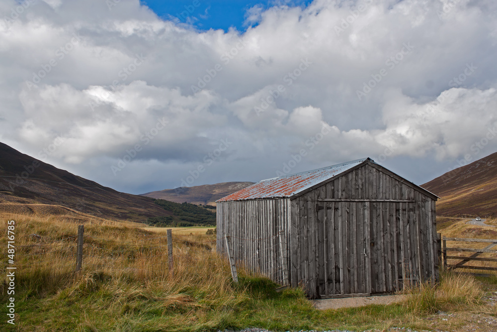 Shed