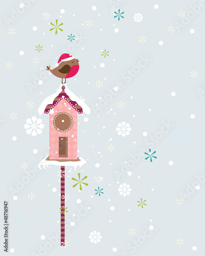 robin christmas bird