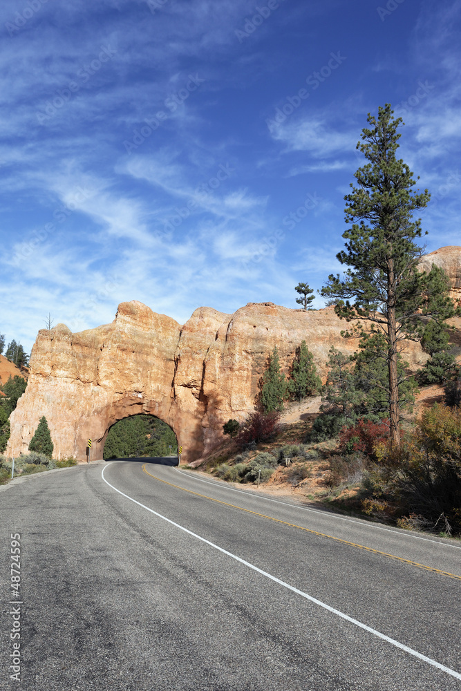 vertical view of Road to Bryce Canyon vertical view of Road to Bryce Canyon