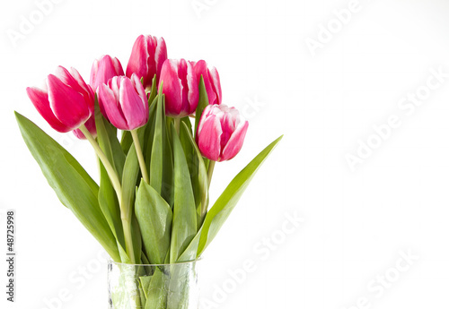 Bunch of pink tulips in a glass vase on a white background
