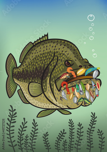 bass