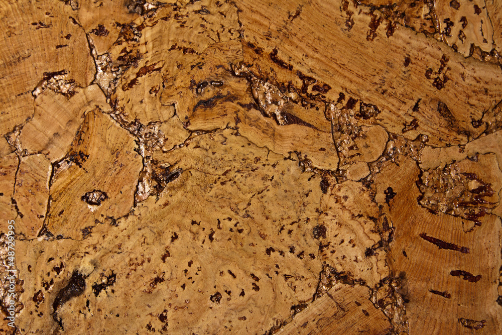 cork texture. cork background. Closeup cork texture. cork background. Closeup