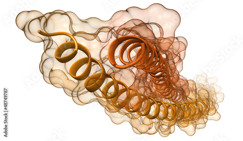 molecular model of keramin