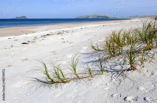 Henderson Bay in Northland New Zealand