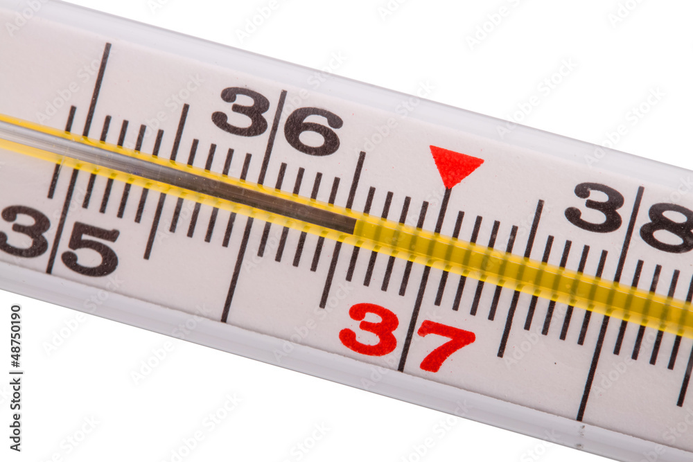 Thermometer isolated on the white background Thermometer isolated on the white background