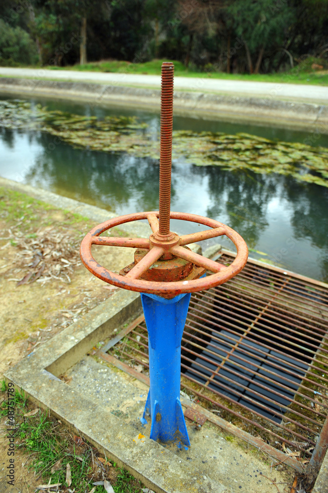 Canal de riego, compuerta para agua de regadío foto de Stock | Adobe Stock