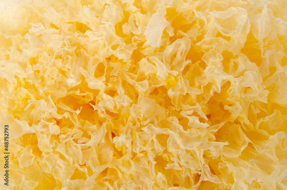 Tremella fuciformis Tremella fuciformis