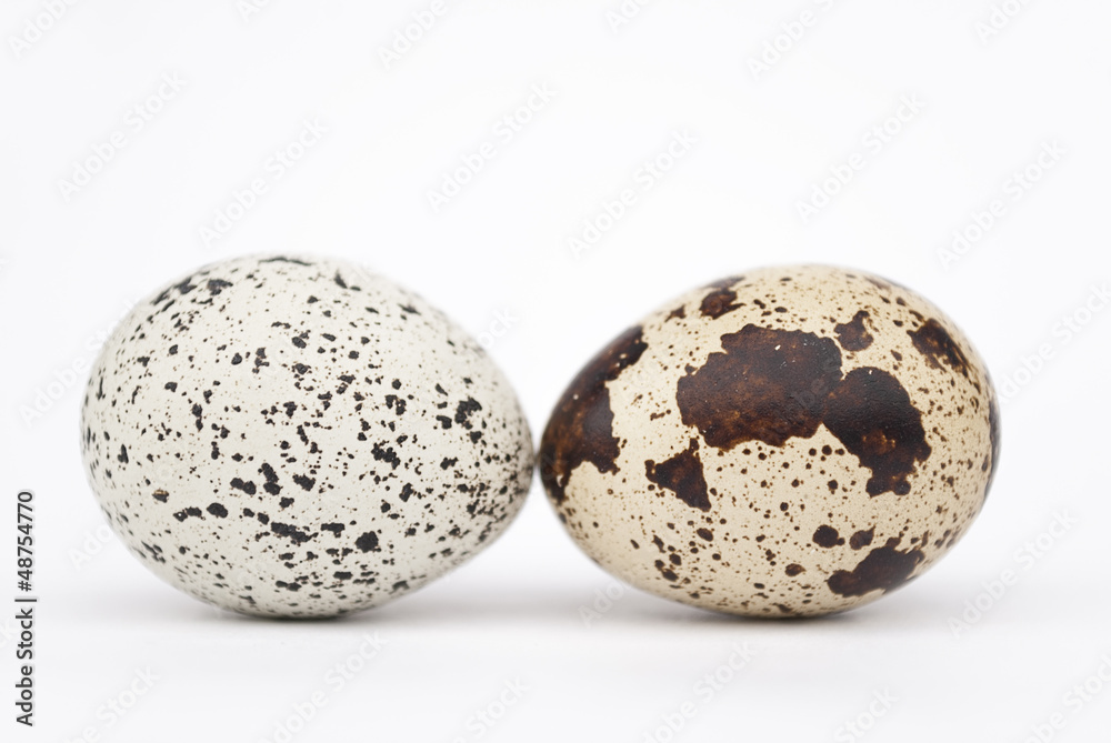 Two quail eggs on a white background Two quail eggs on a white background