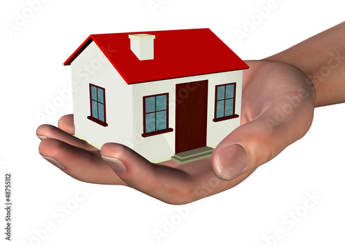 HOUSE IN HAND - 3D