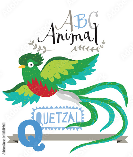 ABC animals: Q is for quetzal. Vector Graphics