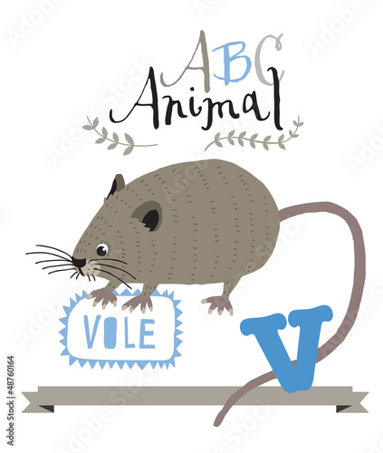 ABC animals: V is for vole. Vector Graphics