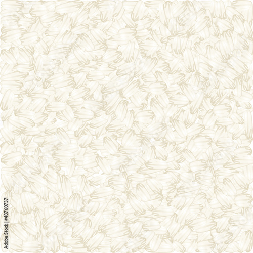 White rice vector background