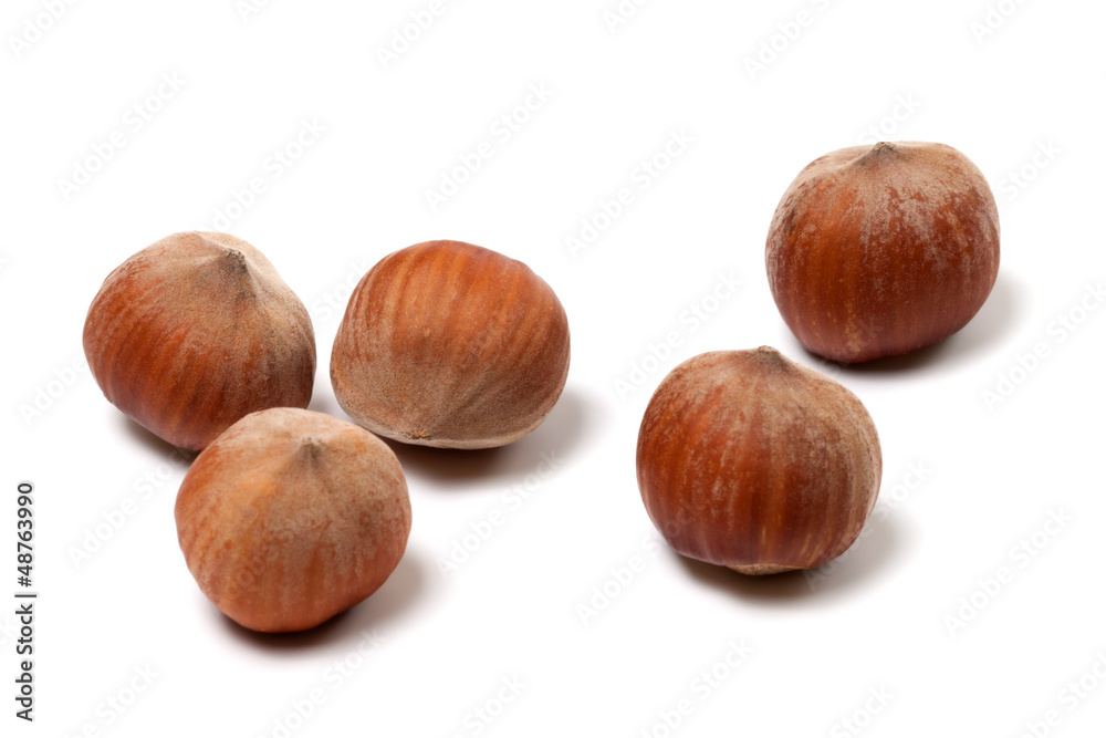 Brown hazelnuts on white background