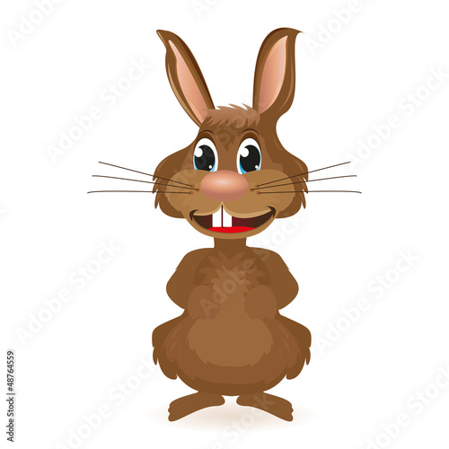 Rabbit on a white background isolated